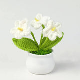 Blingcute | Crochet Forget-me-not Potted Plant | Home Decor