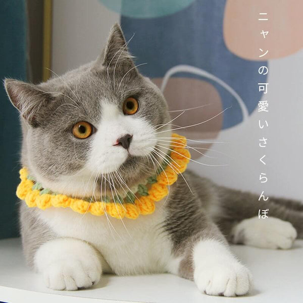 Snow White Yarn Crochet Cat Collar with, Cat Necklace - Yellow